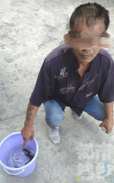  秦岭|三男子秦岭爬山后被警方刑拘！他们干了啥？后备箱里竟藏着...