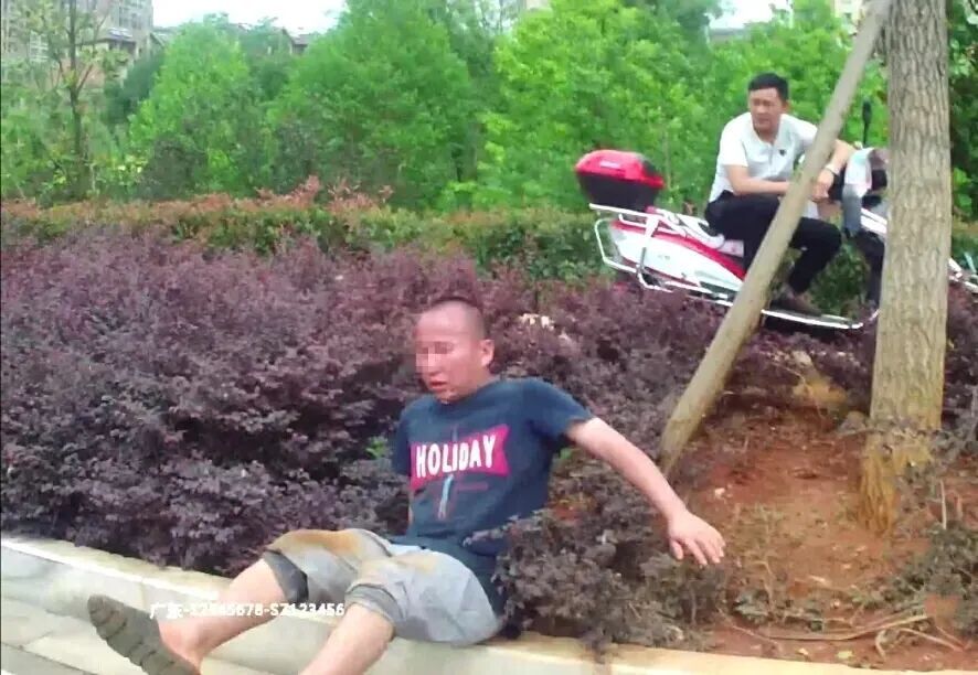  中毒|不要作！为看诡异的“小精灵跳舞”，不少人乱吃它后中毒！