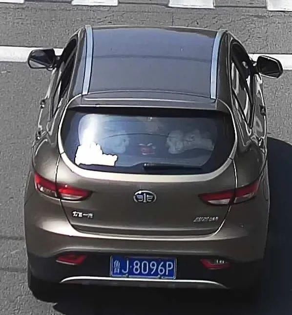 泰安|鲁JM2**3、鲁JJ0**7、鲁J62**N……泰安这15辆车被曝光!