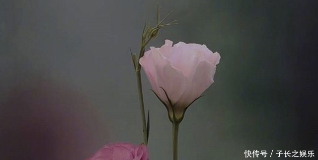  生命中|人生中会遇到的三个贵人，别轻易就错过了