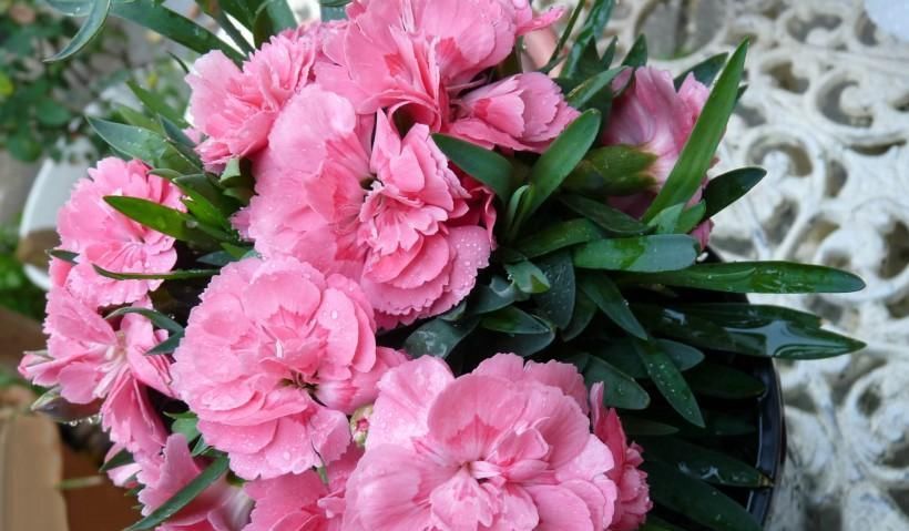  财神|财神不放假! 3生肖最近半年财运大旺, 发横财红票子滚滚来!