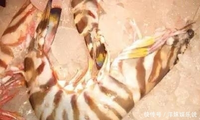 海鲜|海鲜大全, 你能认出多少