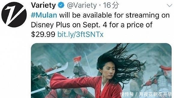 太贵|《花木兰》转网被嘲太贵,刘亦菲怎么就输了?