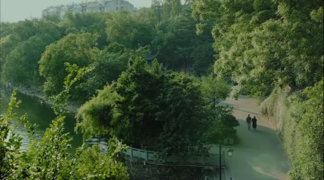  绵长|电影里的东方日常，克制而绵长