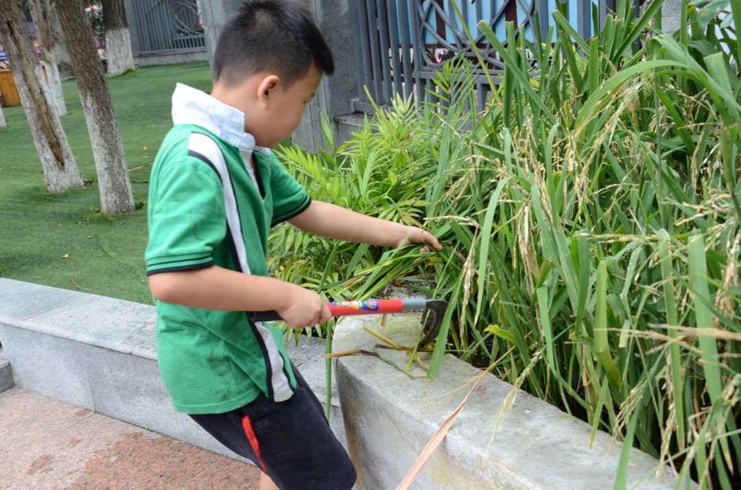 鼓励|教育部要求学校食堂改进菜品口味！鼓励这样收费...