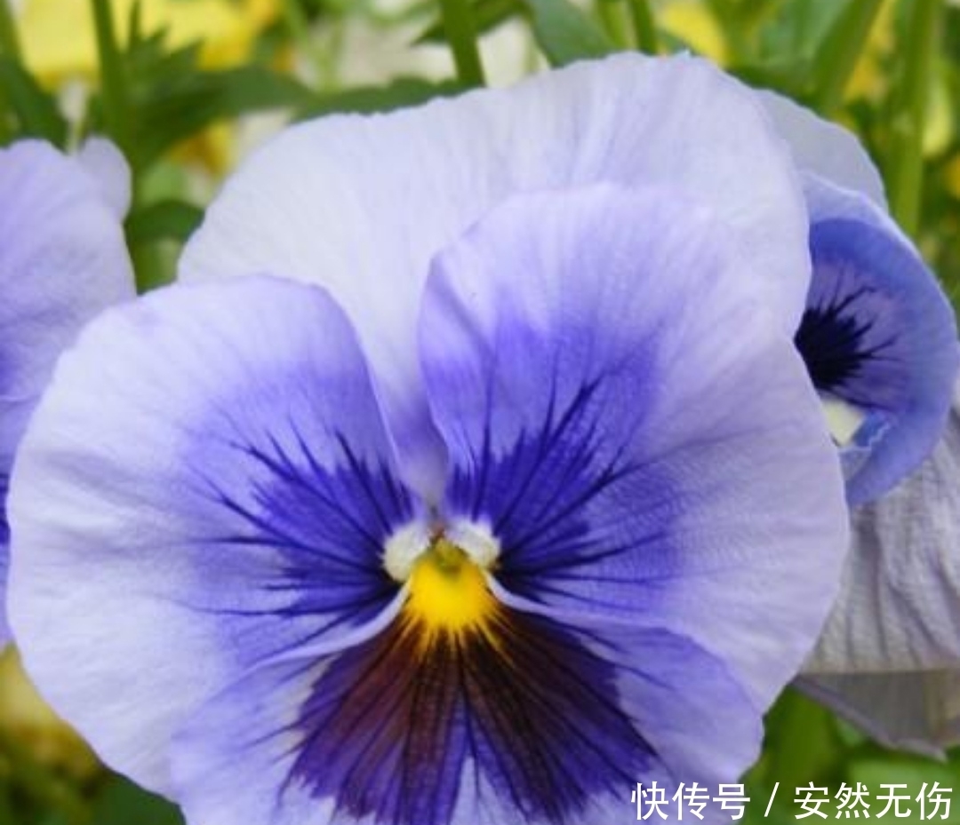 中旬|九月中旬开始,将风光无限,好运来了谁也挡不住四大生肖