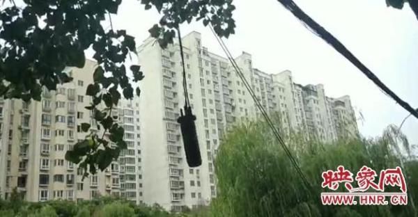  马路|马路上空悬个圆柱体3个多月了 市民：像个定时“炸弹”