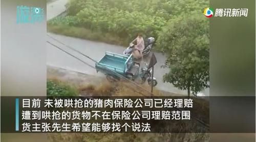  邱先生|10吨猪肉散落一地遭哄抢只剩3吨 货主崩溃拍下无耻一幕