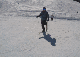  奔跑|搞笑GIF趣图:兄弟，尽情奔跑吧，滑雪橇肯定不会断的！