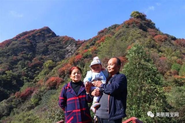  周至|周至有一种风景，叫青山红叶！