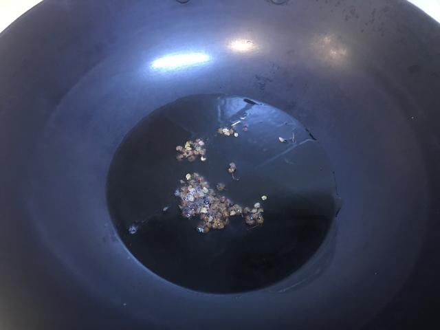  老公|此小海鲜营养还便宜，辣椒炒一炒，老公下酒，孩子就米饭