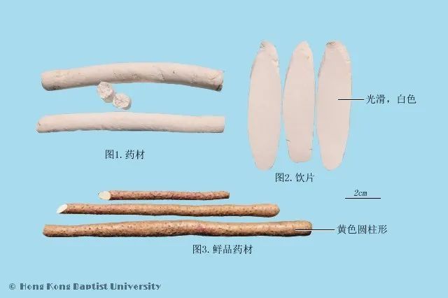 治疗脾胃虚山药汤做法(【养生】秋季养肺调脾胃，一味山药煲靓汤)