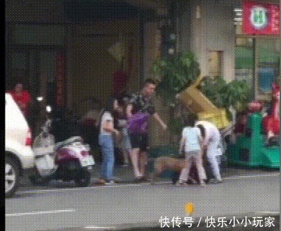  发狂|“第一猛犬”发狂咬土狗32秒，5岁女孩赤手空拳阻止，场面惊心