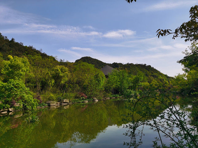  旅游|民宿也能“数字化”？德清莫干山旅游旗舰店上线，“吃住玩购”一网打尽