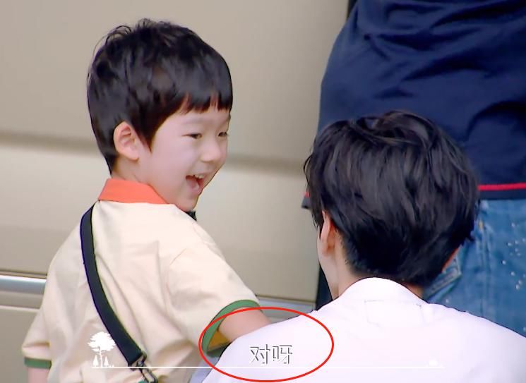  橙子|谭松韵因故离开《小森林》，新嘉宾神似张新成，被误认是橙子哥哥