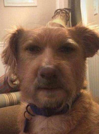  寸草不生|女司机，方圆十里，寸草不生，追尾必嫁！