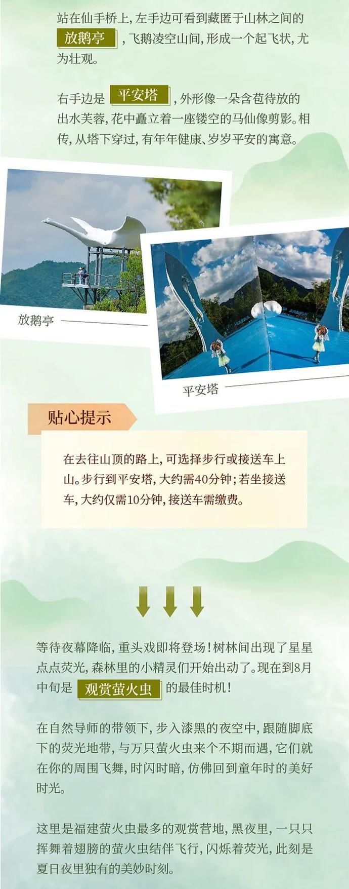 今夏|民宿福利 | 打卡今夏萤火虫最多的观赏圣地，这趟2日亲子游全！程！高！能！