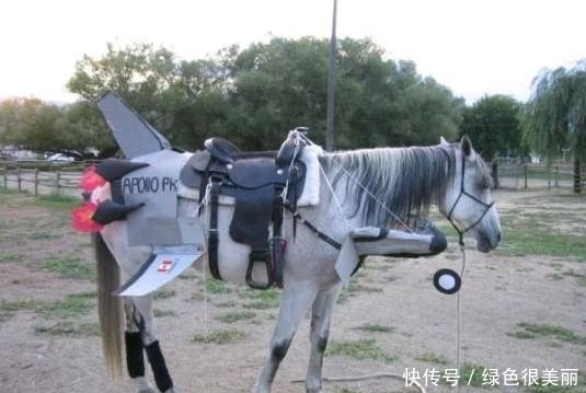 父亲|搞笑图片幽默段子笑话:哈哈,机智的父亲,这装置还挺实用的