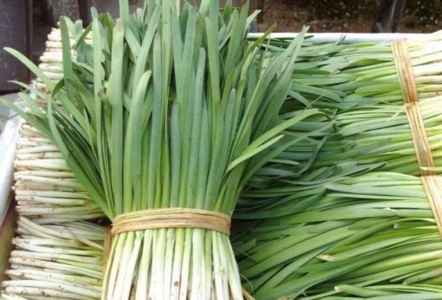 韭菜|春季这菜要多吃,搭配土豆丝炒,味道好又特别下饭