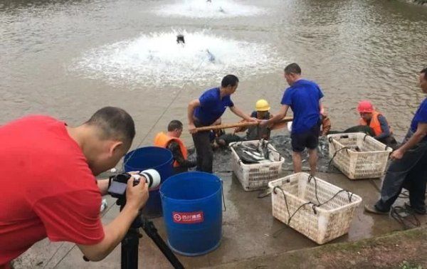  大篷车|开机！四川卫视《乡村大篷车》走进井研