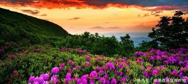 句子|珍藏许久对现实的引用,经典的句子,让你了解了很多真理