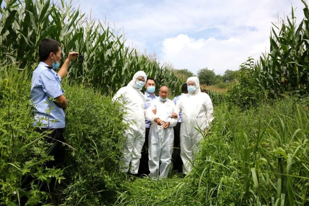  被捕|不正当关系被发现，妻子与情夫杀死丈夫，逃亡30年后年近古稀被捕，被害者被埋在山坳至今