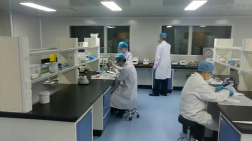  采访|杭州女子失踪案回顾：嫌凶多次接受采访，警方筛查38车粪水