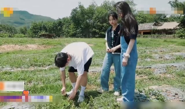 下期|《向往4》放大招,下期嘉宾颜值超高!同框画面像极了偶像剧