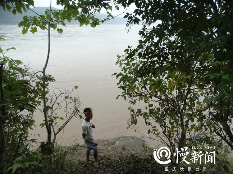 捞鱼|不听劝告下河捞鱼 被抓现行悔之晚矣