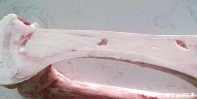  块钱|它曾是烧烤摊“头牌”，如今却无人问津，8块钱一根都没人吃