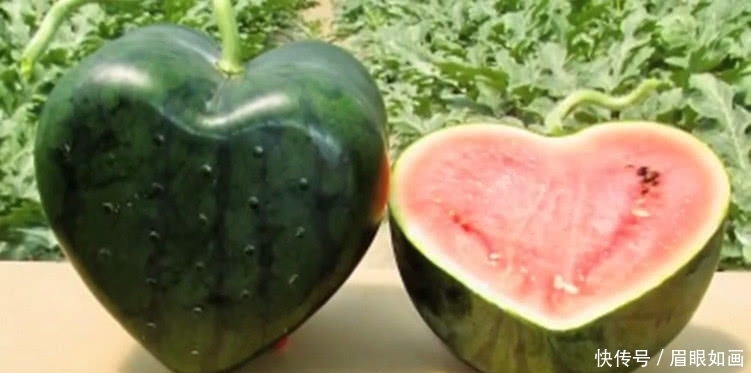 吓一跳|5款“奇葩”西瓜,第1见都没见过,第3切开吓一跳