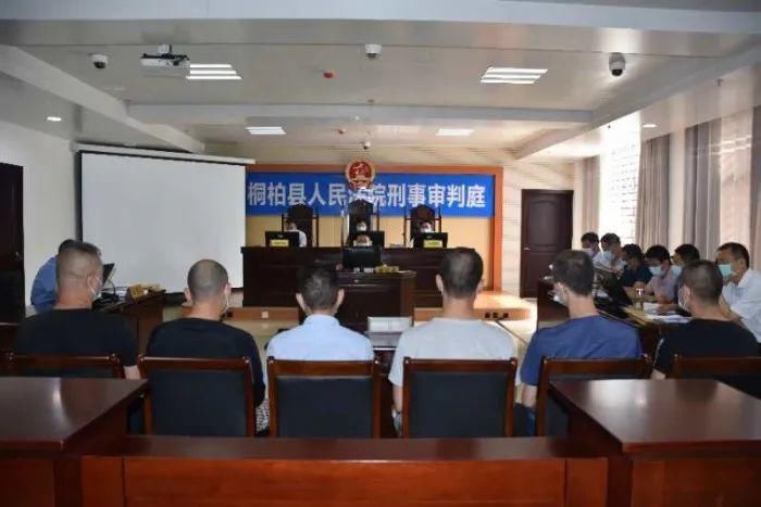  主犯|桐柏公安打掉的白某某恶势力犯罪集团主犯被判13年罚金45万