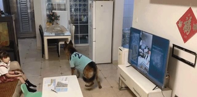 孩子|父母用摄像头监控孩子被报警：中国的孩子该有隐私吗？