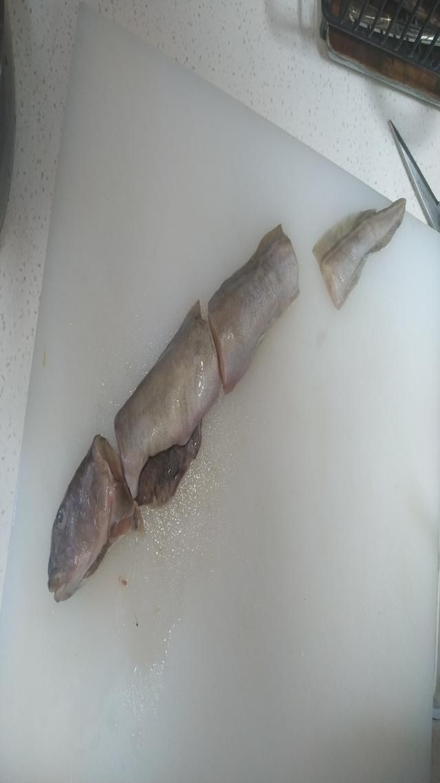 无人问津|它营养比甲鱼还高,全身都是宝贝,只要7元1斤却常常无人问津