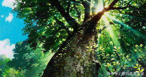 张扬|宫崎骏的夏天,惬意又慵懒,清丽恣意且张扬。 ?