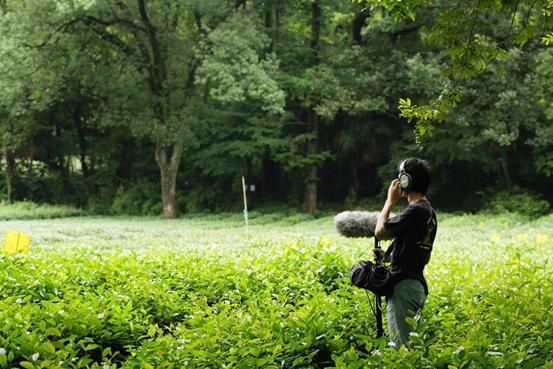  自然声音|这条推送里的声音，太治愈了