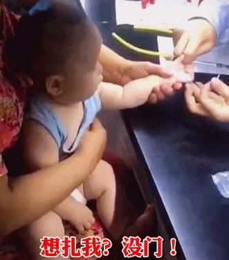  小可爱|这些小可爱是真实存在的吗？