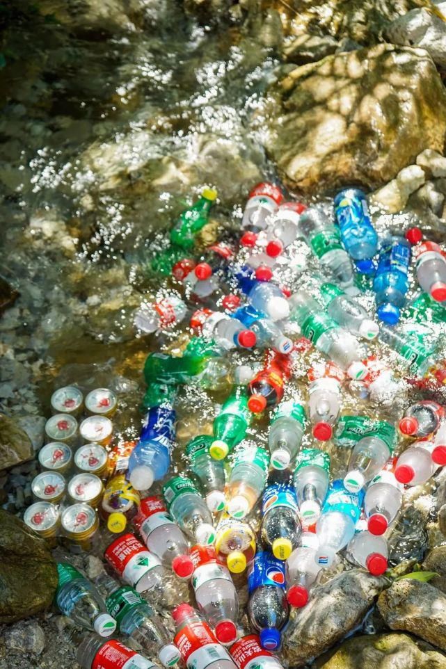  去一趟|避暑王者峨眉山，是时候去一趟了！