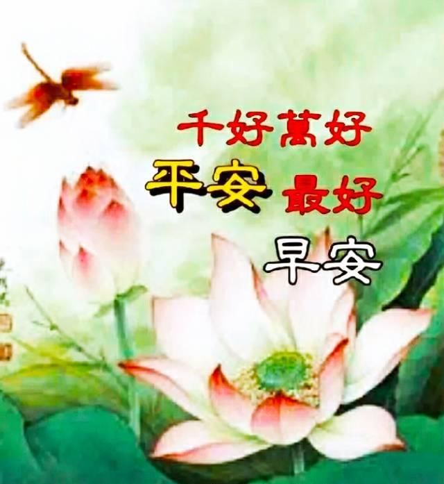  欢快|清清的晨风摇响愉悦的铃铛，我的心奏起欢快的乐曲，说声早安