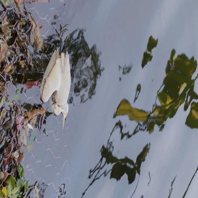  shui|陈燕：光不度，shui水成文