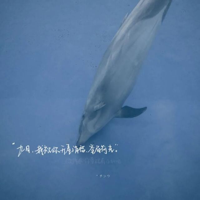  習慣|背景 | “放不下的只是習慣”