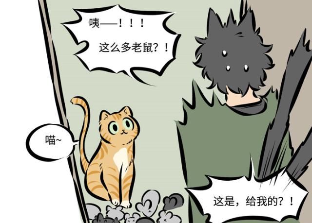  备胎|万圣街：桃子莫名给人当了“备胎”，猫咪快还我“少女心”！