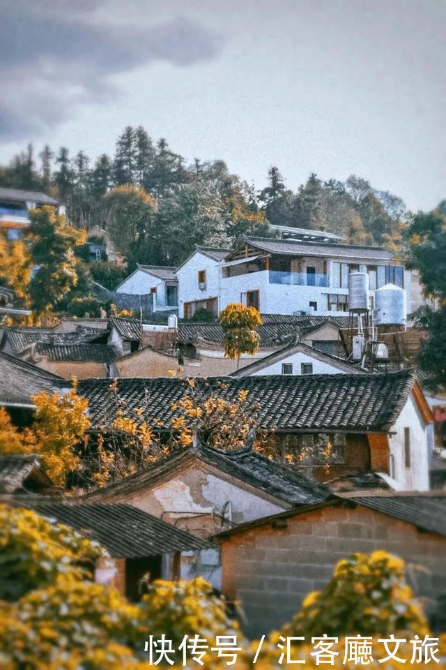 西双版纳|这个被各大热门综艺独宠的宝藏省份,真是仙到要疯!