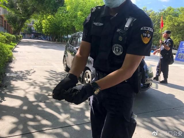 发生|高考新闻年年新鲜年年有趣,今年高考发生什么?网友:蛇都趁热闹