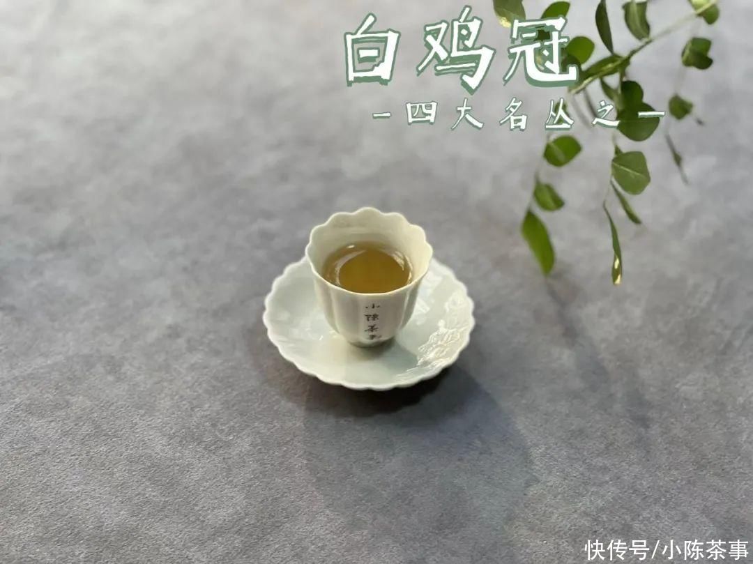 岩茶里，母树、母本、单株都是什么意思？花3分钟看完涨知识