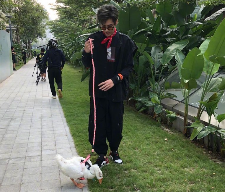  教导|《潮玩人类在哪里》路透，吴亦凡当街遛鹅，还教导鹅不要乱吃草