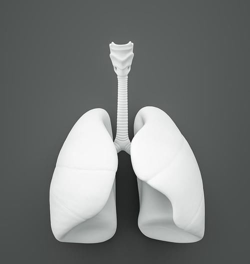 平时|肺部想要保持健康？在平时可以常吃6种食物，肺一天比一天健康