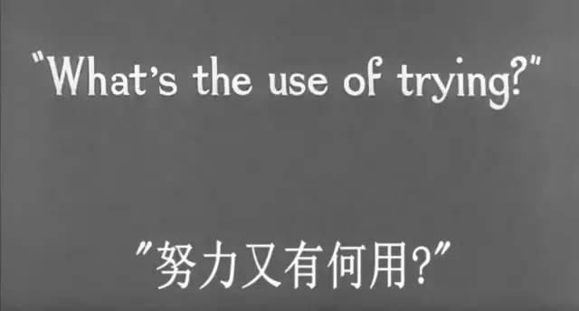 代价|外卖骑手被逼“越来越快”的社会，是有代价的