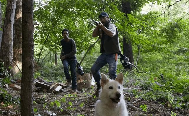  恐怖电影|20部最好看的恐怖电影！