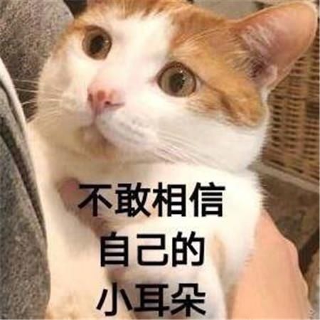 本质|春城夜谭｜花钱就能在海底捞“插队”，问题的本质是什么？